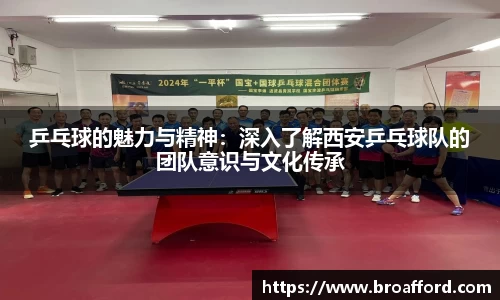 乒乓球的魅力与精神：深入了解西安乒乓球队的团队意识与文化传承
